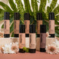 BioGlow Tinted Moisturizer with Tallow + Moroccan Oil
