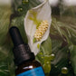 Emanations Profound Face Oil Nourishing Tallow Emu Botanical Blend