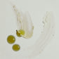 Emanations Profound Face Oil Nourishing Tallow Emu Botanical Blend