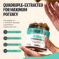 Organic Mushroom Extract Powder Blend